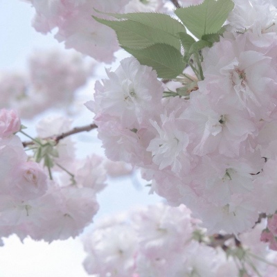 济宁FurryQQ群介绍